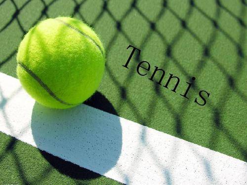 精彩互动 精彩互动